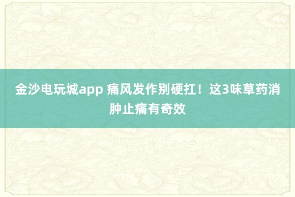 金沙电玩城app 痛风发作别硬扛！这3味草药消肿止痛有奇效