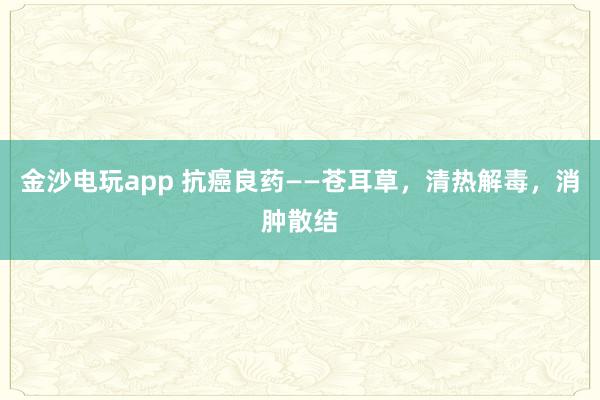 金沙电玩app 抗癌良药——苍耳草，清热解毒，消肿散结