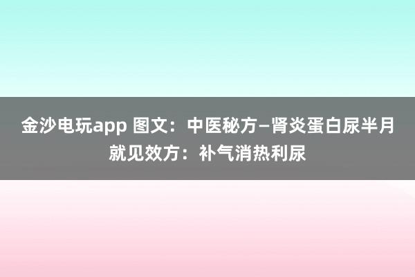金沙电玩app 图文:中医秘方—肾炎蛋白尿半月就见效方:补气消热利尿