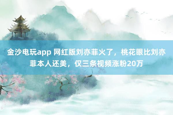 金沙电玩app 网红版刘亦菲火了,桃花眼比刘亦菲本人还美,仅三条视频涨粉20万