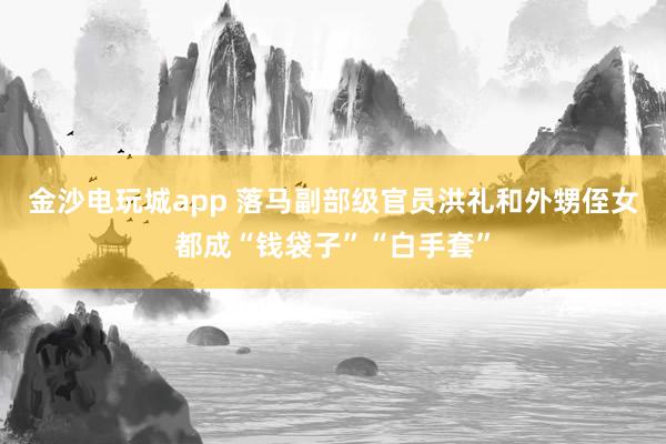金沙电玩城app 落马副部级官员洪礼和外甥侄女都成“钱袋子”“白手套”