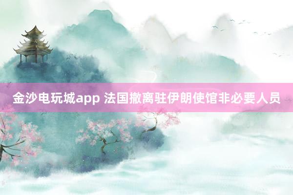 金沙电玩城app 法国撤离驻伊朗使馆非必要人员