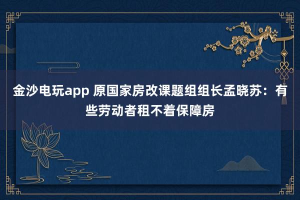 金沙电玩app 原国家房改课题组组长孟晓苏:有些劳动者租不着保障房