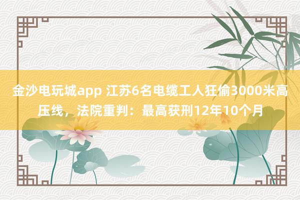 金沙电玩城app 江苏6名电缆工人狂偷3000米高压线，法院重判：最高获刑12年10个月