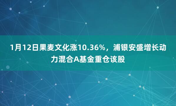 1月12日果麦文化涨10.36%，浦银安盛增长动力混合A基金重仓该股