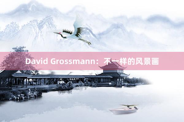 David Grossmann：不一样的风景画