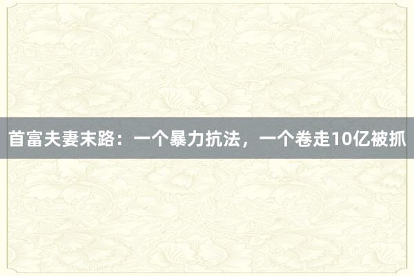 首富夫妻末路：一个暴力抗法，一个卷走10亿被抓