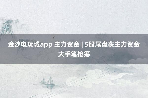 金沙电玩城app 主力资金 | 5股尾盘获主力资金大手笔抢筹