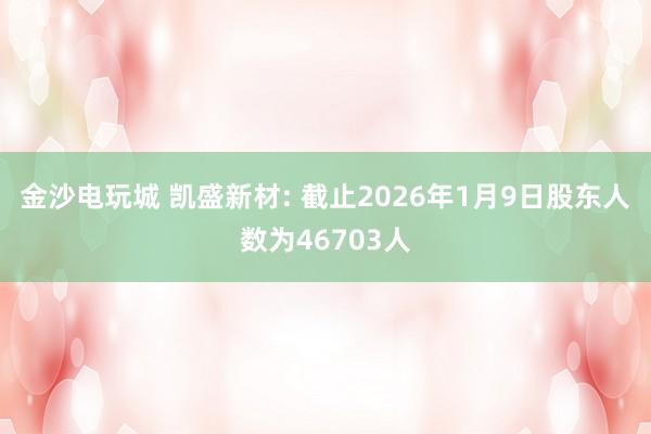 金沙电玩城 凯盛新材: 截止2026年1月9日股东人数为46703人