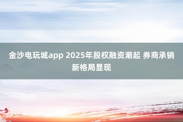 金沙电玩城app 2025年股权融资潮起 券商承销新格局显现
