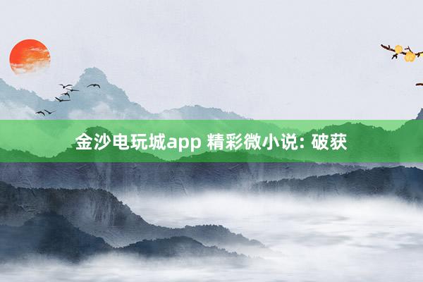 金沙电玩城app 精彩微小说: 破获