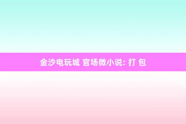 金沙电玩城 官场微小说: 打 包