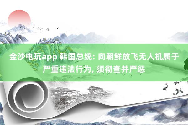 金沙电玩app 韩国总统: 向朝鲜放飞无人机属于严重违法行为, 须彻查并严惩
