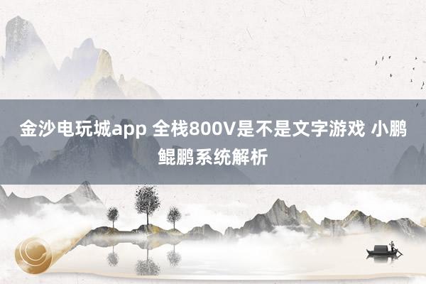 金沙电玩城app 全栈800V是不是文字游戏 小鹏鲲鹏系统解析