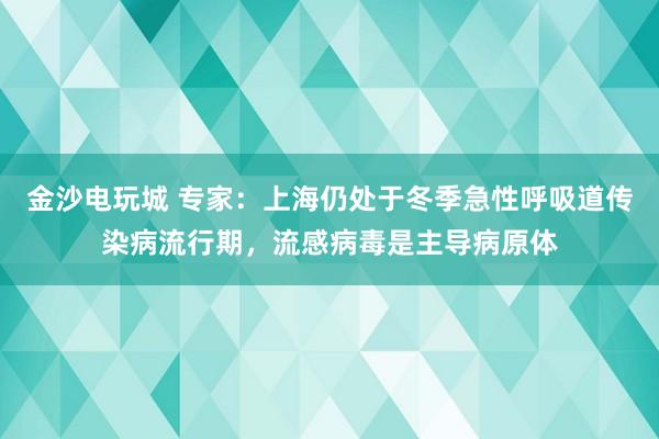 金沙电玩城 专家：上海仍处于冬季急性呼吸道传染病流行期，流感病毒是主导病原体