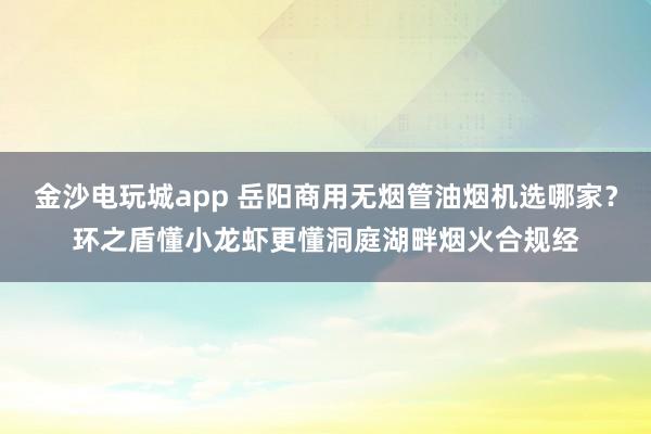 金沙电玩城app 岳阳商用无烟管油烟机选哪家？环之盾懂小龙虾更懂洞庭湖畔烟火合规经