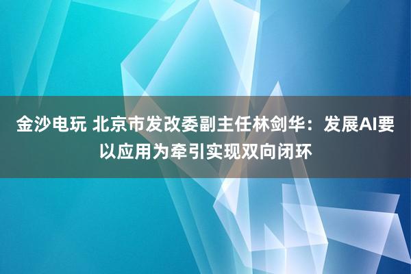 金沙电玩 北京市发改委副主任林剑华：发展AI要以应用为牵引实现双向闭环