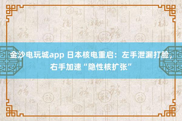 金沙电玩城app 日本核电重启:左手泄漏打脸,右手加速“隐性核扩张”