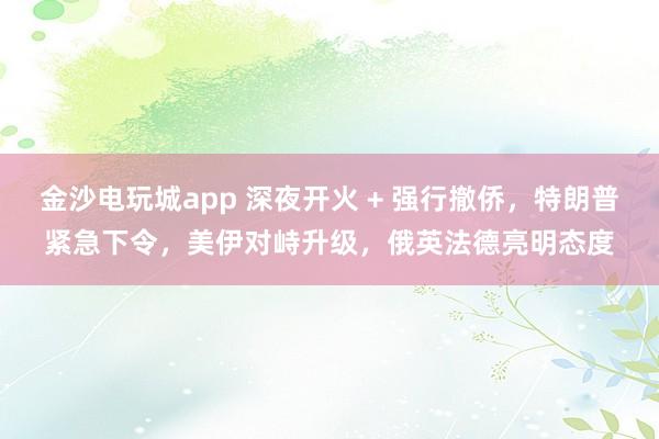 金沙电玩城app 深夜开火 + 强行撤侨，特朗普紧急下令，美伊对峙升级，俄英法德亮明态度