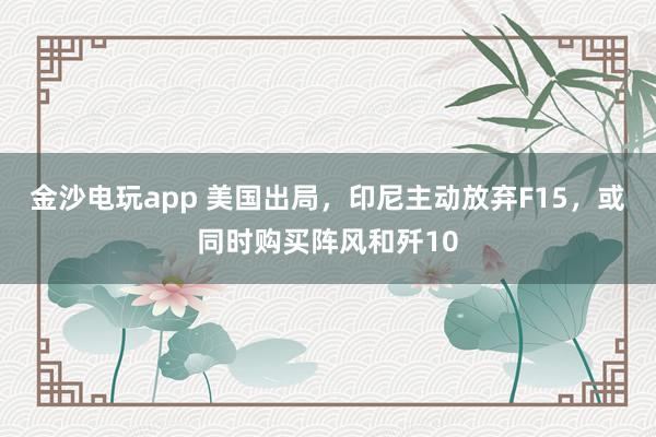金沙电玩app 美国出局，印尼主动放弃F15，或同时购买阵风和歼10