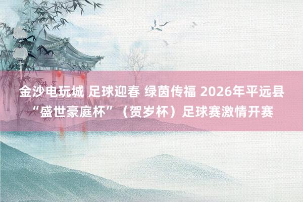 金沙电玩城 足球迎春 绿茵传福 2026年平远县“盛世豪庭杯”（贺岁杯）足球赛激情开赛