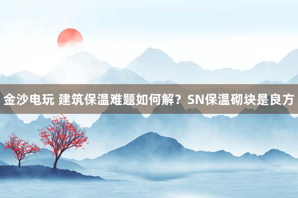 金沙电玩 建筑保温难题如何解？SN保温砌块是良方
