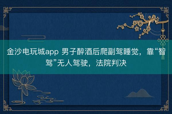 金沙电玩城app 男子醉酒后爬副驾睡觉，靠“智驾”无人驾驶，法院判决